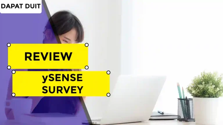 ySense Survey